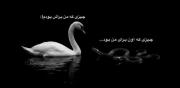 من همیشه براش مثل مادر بودم اما او....💔🥲