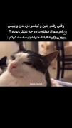 😂😂😂😂🙂‍↕️. .