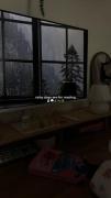 طبیعت جایی که برای زندگی به ان احتیاج داریم نه ادم ها...☁️🌱